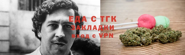 тгк Абаза