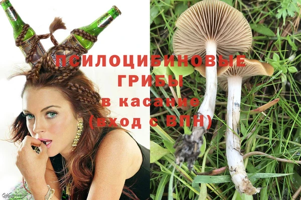 Альфа ПВП Абдулино