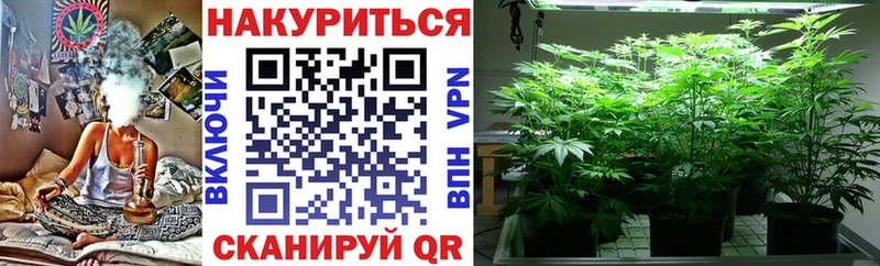 где можно купить   Лебедянь  Шишки марихуана сатива 